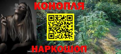 гидра Бердск