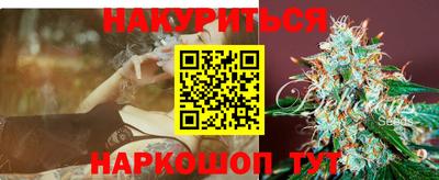 гидра Бердск