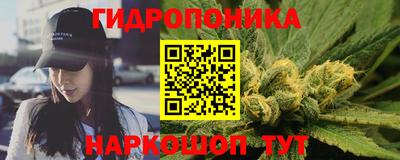 гидра Бердск