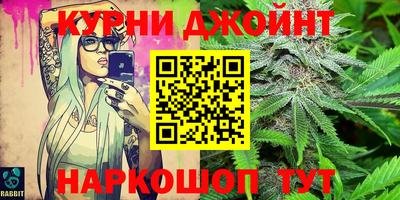гидра Бердск