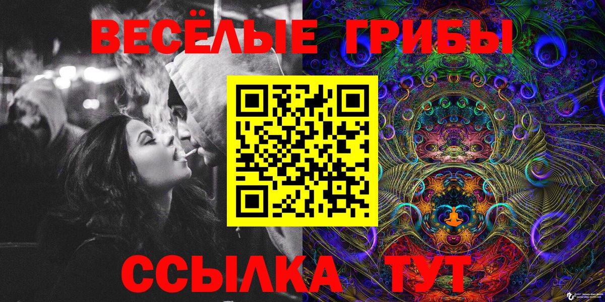 Псилоцибиновые грибы ЛСД  Вход с VPN  Грязи 